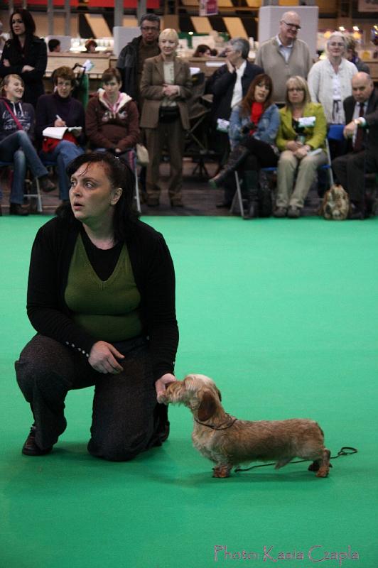 Crufts2011_2 517.jpg